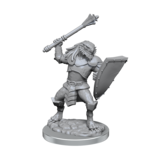 Wizkids D&D Unpainted Minis Wv18 Dragonborn Clerics
