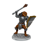 Wizkids D&D Unpainted Minis Wv18 Dragonborn Clerics