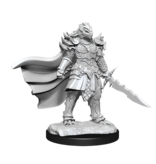 Wizkids D&D Unpainted Minis Wv15 Dragonborn Fighter Female