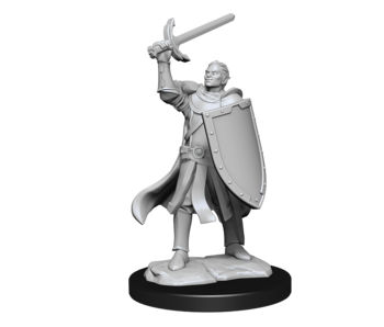 D&D Unpainted Minis Wv14 Half-elf Paladin Male