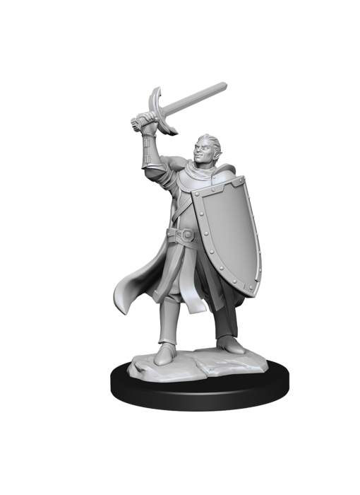 D&D Unpainted Minis Wv14 Half-elf Paladin Male