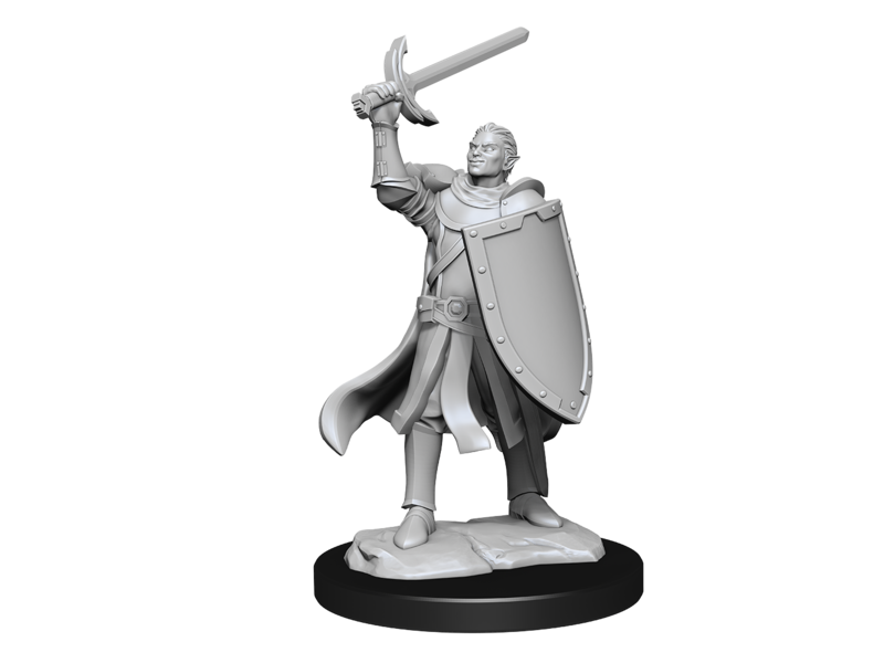 Wizkids D&D Unpainted Minis Wv14 Half-elf Paladin Male