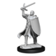 D&D Unpainted Minis Wv14 Half-elf Paladin Male
