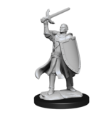Wizkids D&D Unpainted Minis Wv14 Half-elf Paladin Male