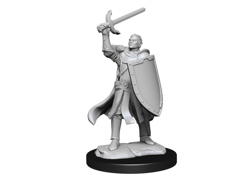 Wizkids D&D Unpainted Minis Wv14 Half-elf Paladin Male