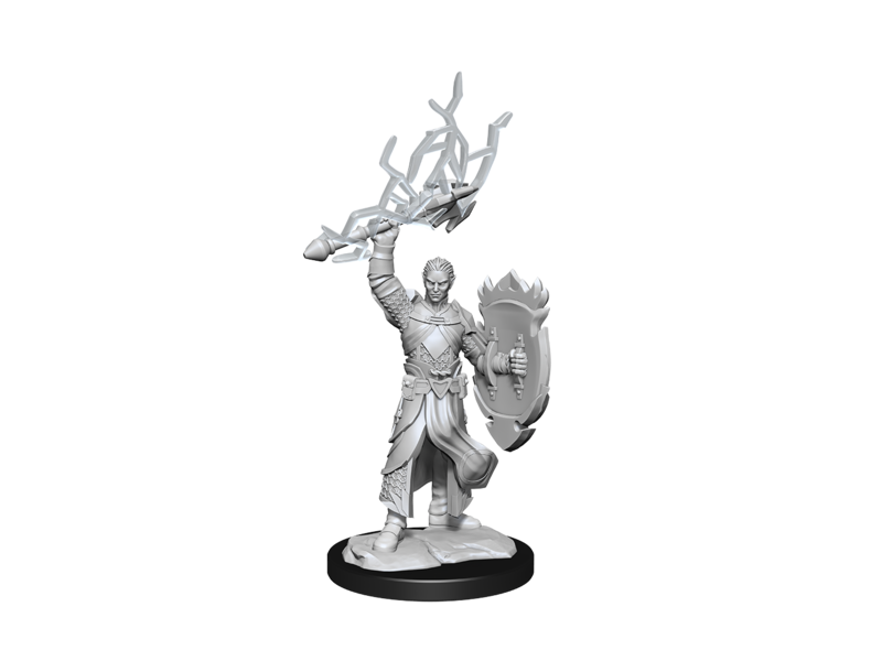 Wizkids D&D Unpainted Minis Wv14 Half-elf Paladin Male