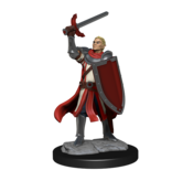 Wizkids D&D Unpainted Minis Wv14 Half-elf Paladin Male