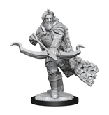Wizkids D&D Unpainted Minis Wv14 Firbolg Ranger Male