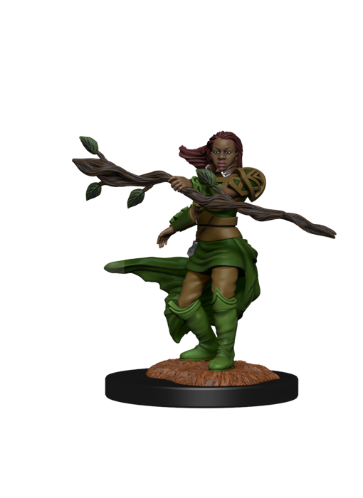 D&D Unpainted Minis Wv14 Human Druid Female