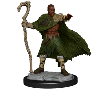 D&D Unpainted Minis Wv14 Human Druid Male