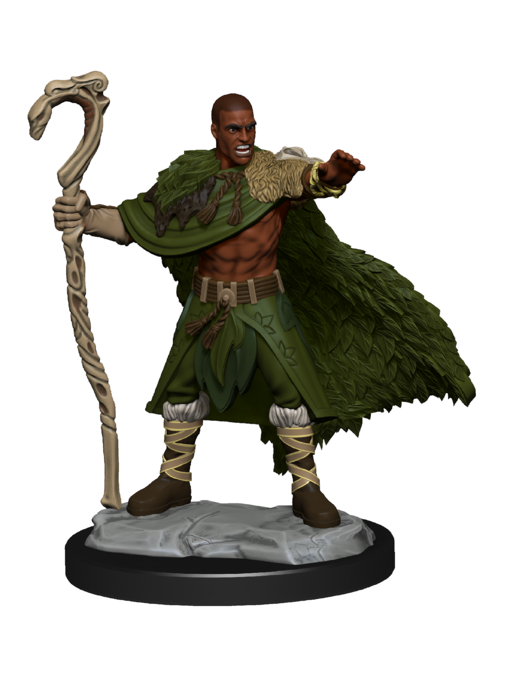 D&D Unpainted Minis Wv14 Human Druid Male