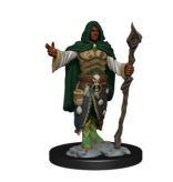 Wizkids D&D Unpainted Minis Wv14 Human Druid Male