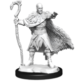 Wizkids D&D Unpainted Minis Wv14 Human Druid Male
