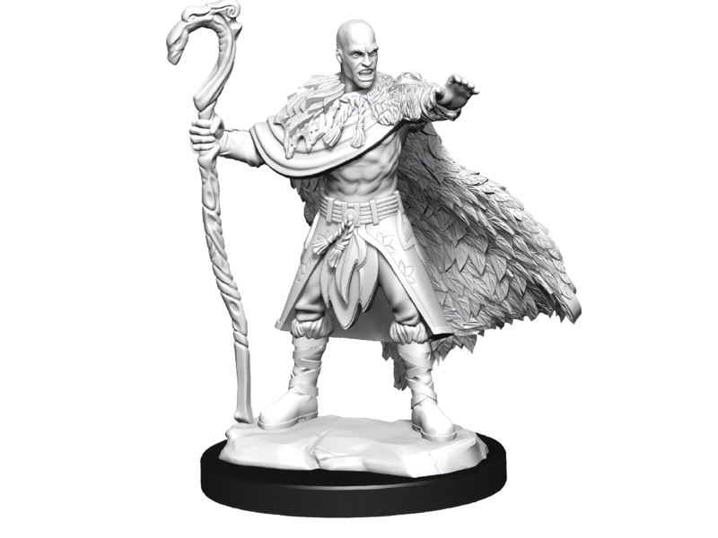 Wizkids D&D Unpainted Minis Wv14 Human Druid Male