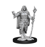 Wizkids D&D Unpainted Minis Wv14 Human Druid Male