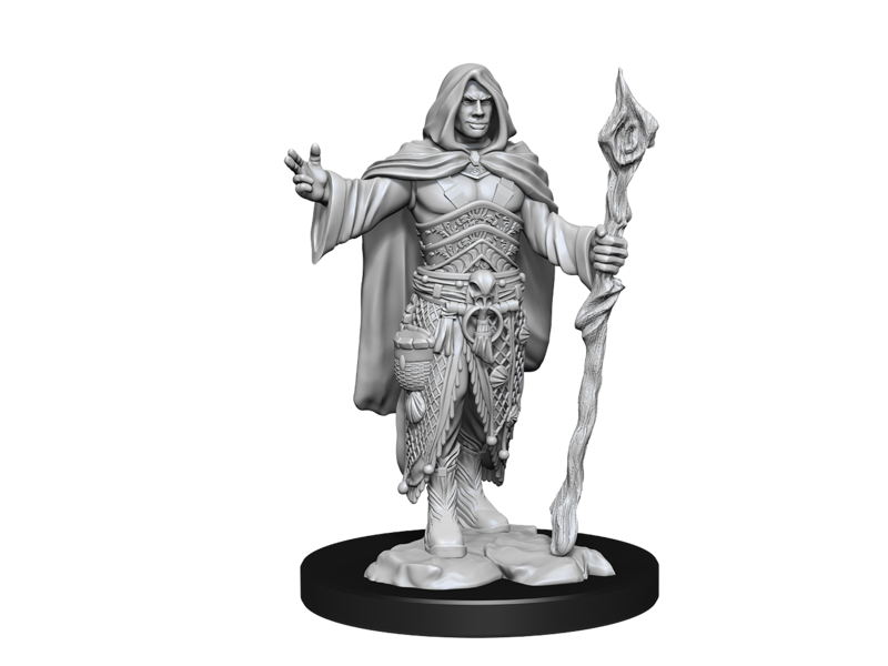 Wizkids D&D Unpainted Minis Wv14 Human Druid Male