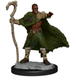 Wizkids D&D Unpainted Minis Wv14 Human Druid Male