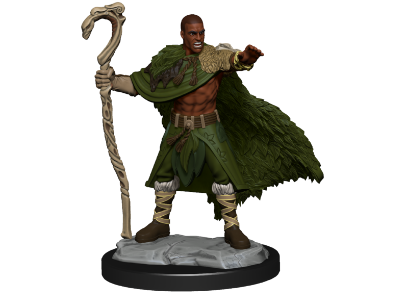 Wizkids D&D Unpainted Minis Wv14 Human Druid Male