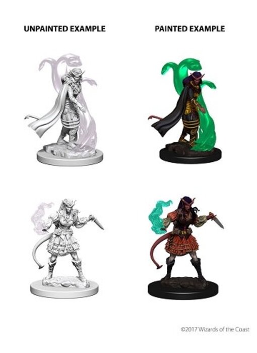 D&D Unpainted Minis Wv4 Tiefling Female Sorcerer