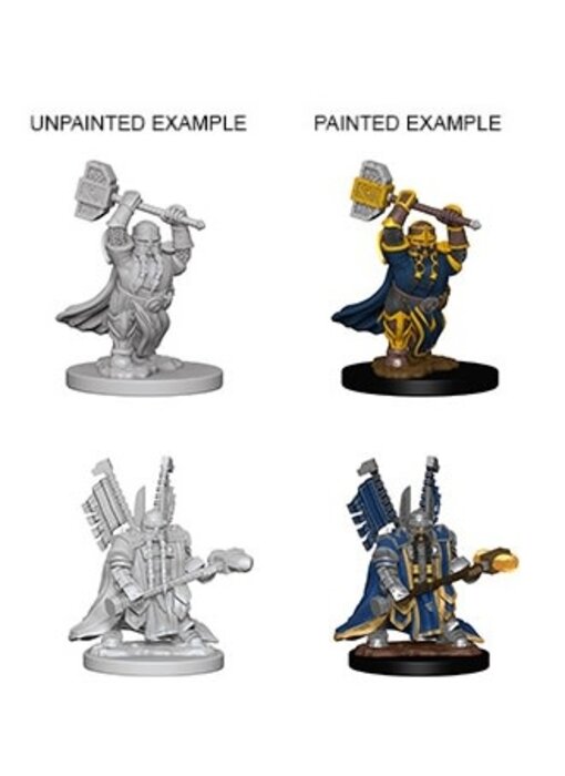 D&D Unpainted Minis Wv4 Dwarf Male Paladin