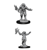 Wizkids D&D Unpainted Minis Wv11 Female Dragonborn Fighter