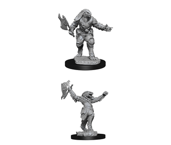 D&D Unpainted Minis Wv11 Female Dragonborn Fighter