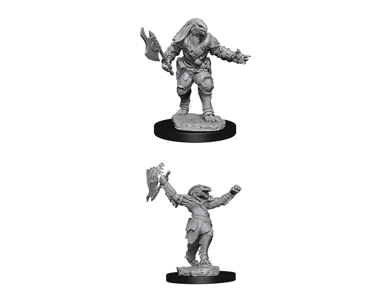Wizkids D&D Unpainted Minis Wv11 Female Dragonborn Fighter