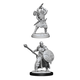 D&D Unpainted Minis Wv13 Human Barbarian Male