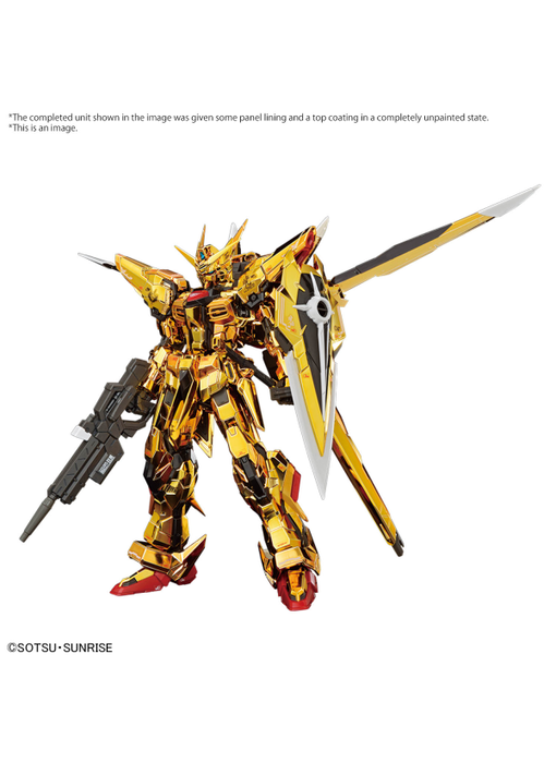 AKATSUKI GUNDAM OOWASHI unit RG 1/144 Bandai