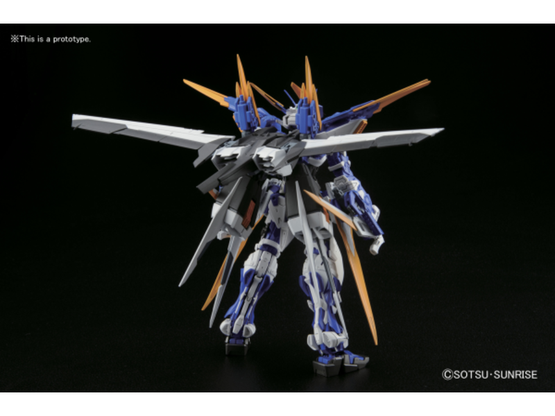 Bandai Gundam Astray Blue Frame D MG 1/100 Bandai