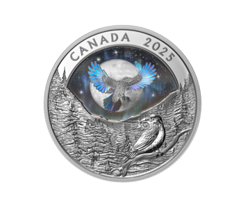Pièce de 20 $ en argent fin 2025 – Au clair de lune : Corbeau