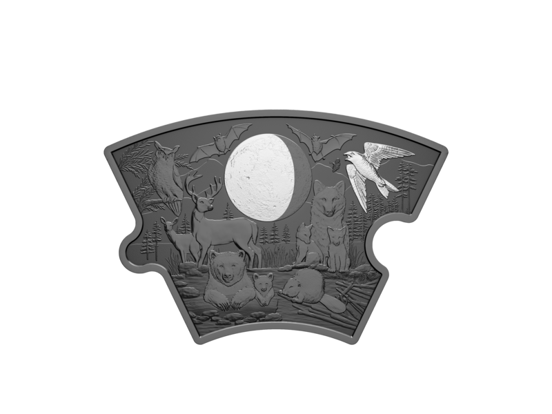 Monnaie Royale Canadienne Fine Silver Puzzle Coin Set - Moon Phases