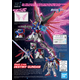 DESTINY GUNDAM HGCE 1/144