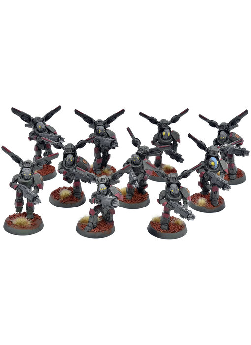 TAU EMPIRE 10 Vespid Stingwings #1 WELL PAINTED Warhammer 40K Converted