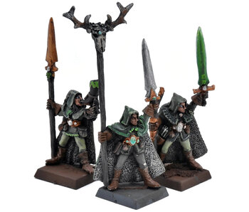 WOOD ELVES 3 Eternal Guard Command #1 METAL Warhammer Fantasy