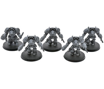SPACE WOLVES 5 Wolf Guard Terminators #2 Warhammer 40K
