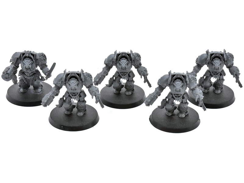 Games Workshop SPACE WOLVES 5 Wolf Guard Terminators #2 Warhammer 40K