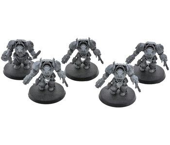 SPACE WOLVES 5 Wolf Guard Terminators #1 Warhammer 40K