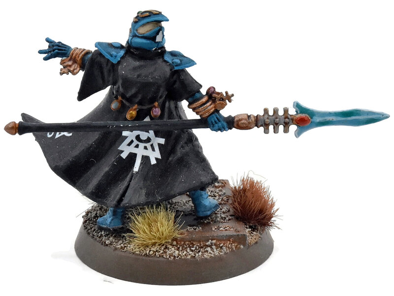 Games Workshop AELDARI Farseer #1 PRO PAINTED Warhammer 40K