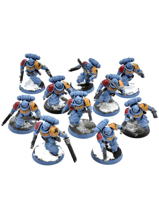SPACE WOLVES 10 Assault Intercessors #2 Warhammer 40K WELL PAINTED