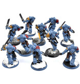 Games Workshop SPACE WOLVES 10 Assault Intercessors #1 Warhammer 40K WELL PAINTED