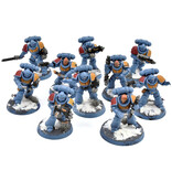 Games Workshop SPACE WOLVES 10 Intercessors #1 Warhammer 40K WELL PAINTED