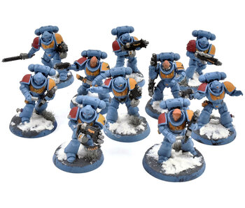 SPACE WOLVES 10 Intercessors #1 Warhammer 40K WELL PAINTED
