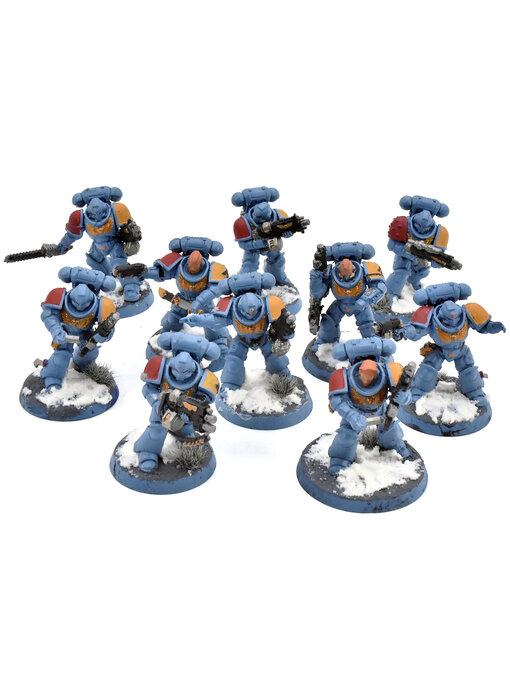 SPACE WOLVES 10 Intercessors #1 Warhammer 40K WELL PAINTED