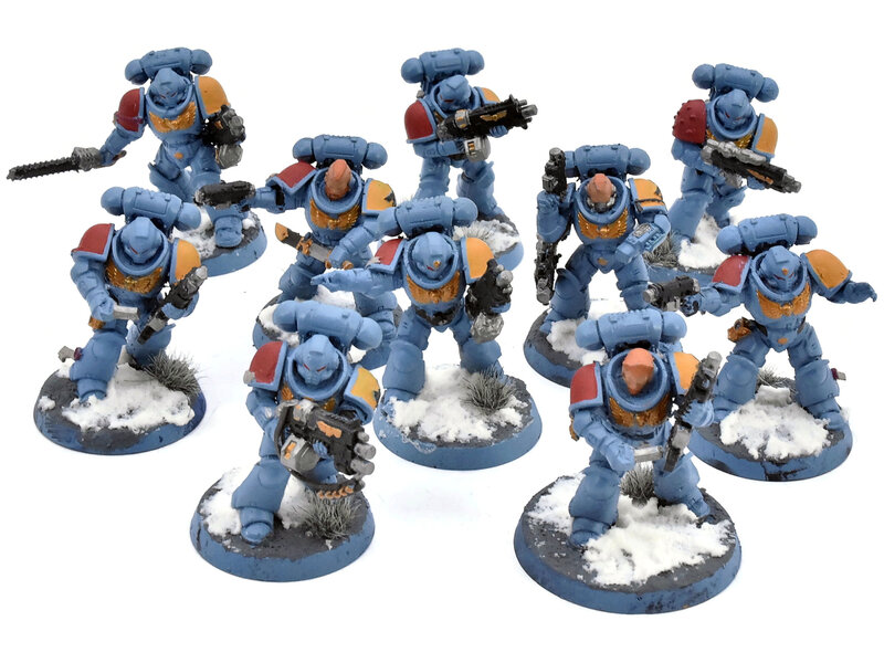 Games Workshop SPACE WOLVES 10 Intercessors #1 Warhammer 40K WELL PAINTED