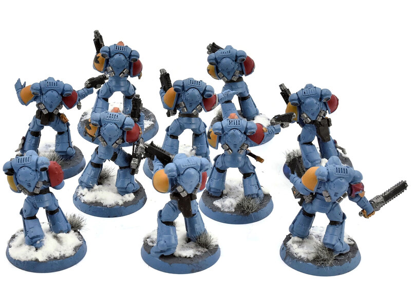 Games Workshop SPACE WOLVES 10 Intercessors #1 Warhammer 40K WELL PAINTED