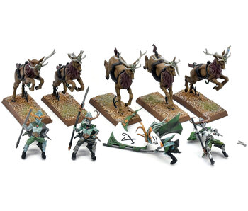 WOOD ELVES 5 Wild Riders #1 PRO PAINTED INCOMPLETE Fantasy Missing One Rider