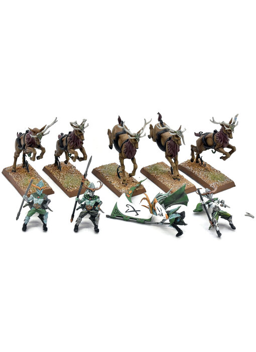 WOOD ELVES 5 Wild Riders #1 PRO PAINTED INCOMPLETE Fantasy Missing One Rider