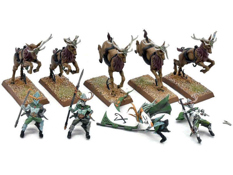 Games Workshop WOOD ELVES 5 Wild Riders #1 PRO PAINTED INCOMPLETE Fantasy Missing One Rider
