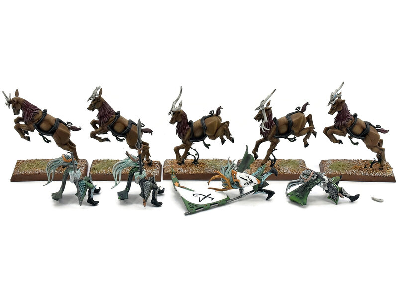 Games Workshop WOOD ELVES 5 Wild Riders #1 PRO PAINTED INCOMPLETE Fantasy Missing One Rider